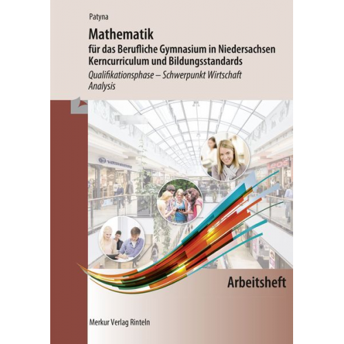 Marion Patyna - Arbeitsheft zu Mathematik für das Berufliche Gymnasium in Niedersachsen