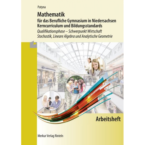 Marion Patyna - Arbeitsheft zu Mathematik für das Berufliche Gymnasium in Niedersachsen