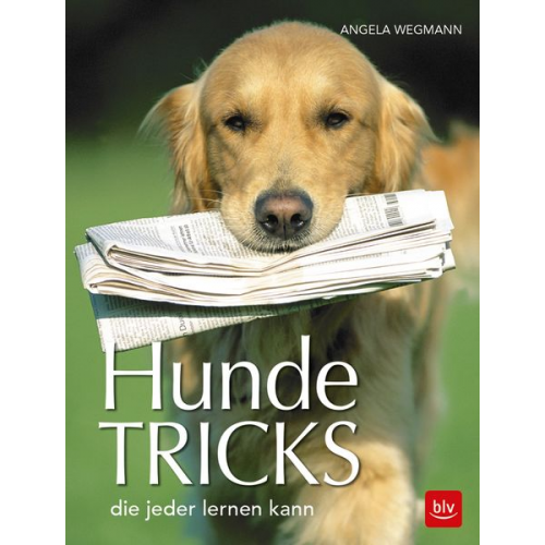 Angela Wegmann - Hundetricks