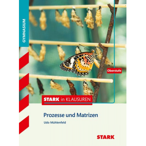 Stark in Mathematik - Prozesse und Matrizen Oberstufe