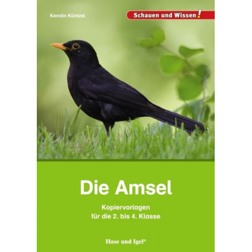 Karolin Küntzel - Die Amsel - Kopiervorlagen für die 2. bis 4. Klasse