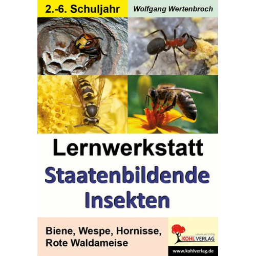 Wolfgang Wertenbroch - Lernwerkstatt Staatenbildende Insekten Kopiervorl.