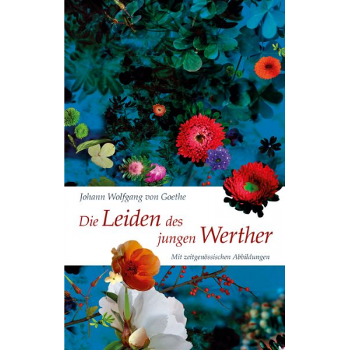 Johann Wolfgang von Goethe - Die Leiden des jungen Werther