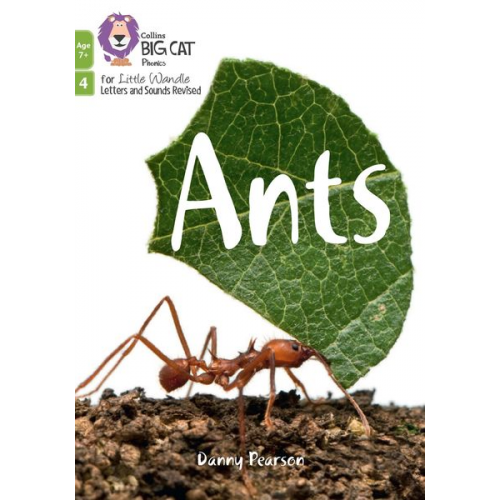 Danny Pearson - Ants