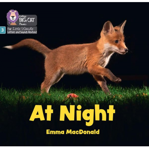 Emma Macdonald - At Night