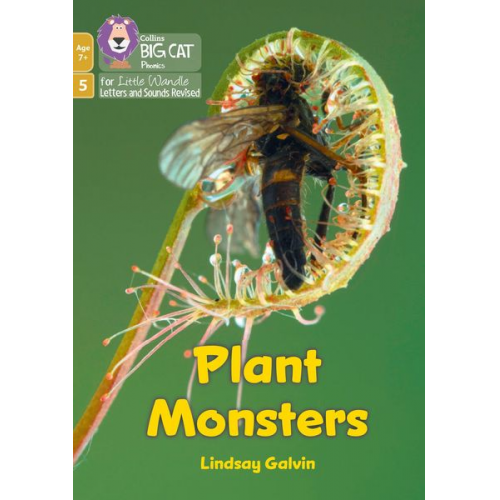 Lindsay Galvin - Plant Monsters