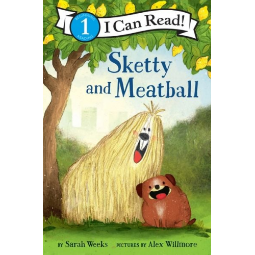 Sarah Weeks - Sketty and Meatball