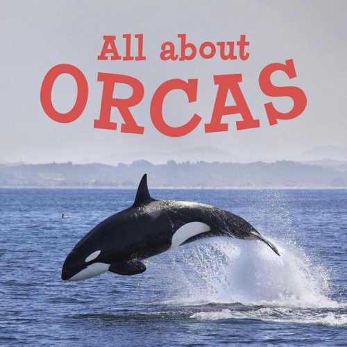 Jordan Hoffman - All about Orcas