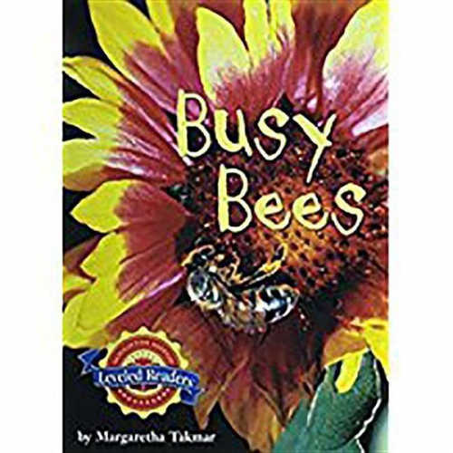 Read - Busy Bees