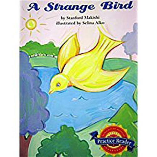 Read - A Strange Bird