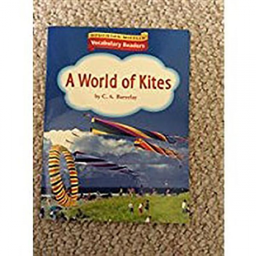 Read - A World of Kites