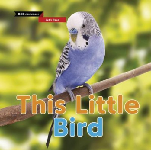 Sasha Morton - This Little Bird