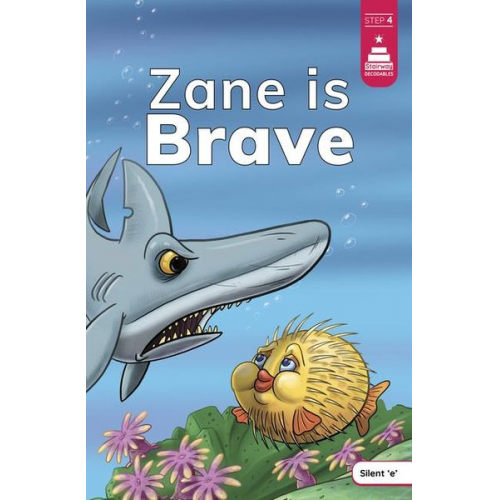 Leanna Koch - Zane Is Brave