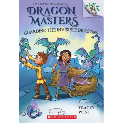 Tracey West - Guarding the Invisible Dragons: A Branches Book (Dragon Masters #22)