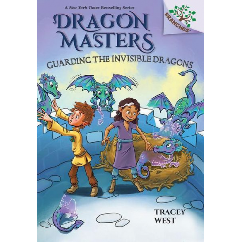 Tracey West - Guarding the Invisible Dragons: A Branches Book (Dragon Masters #22)