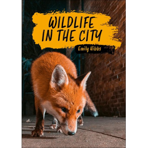 Emily Hibbs - Reading Planet KS2: Wildlife in the City - Earth/Grey