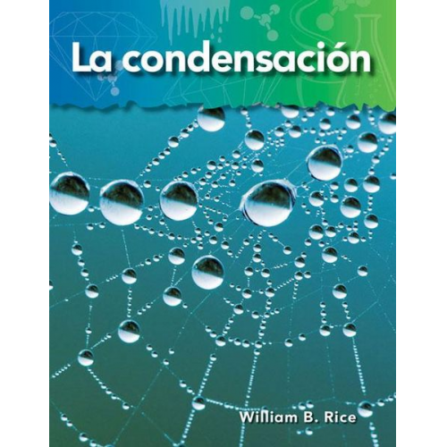 William Rice - Condensation