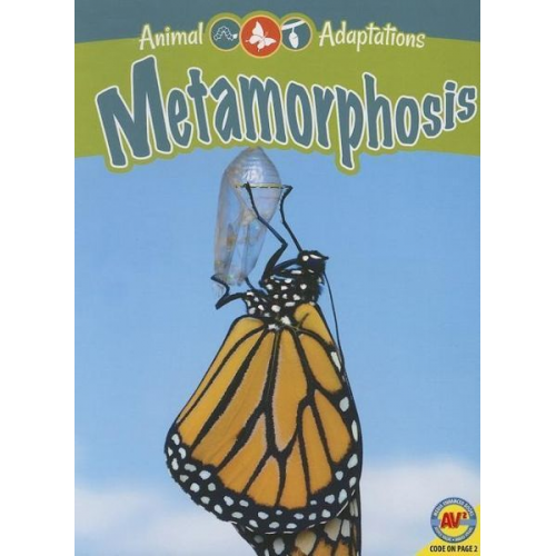 Megan Kopp - Metamorphosis