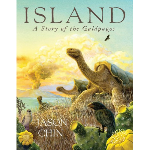 Jason Chin - Island