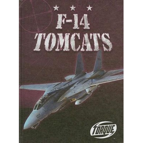 Jack David - F-14 Tomcats