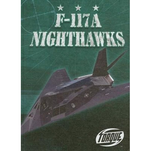 Derek Zobel - F-117A Nighthawks