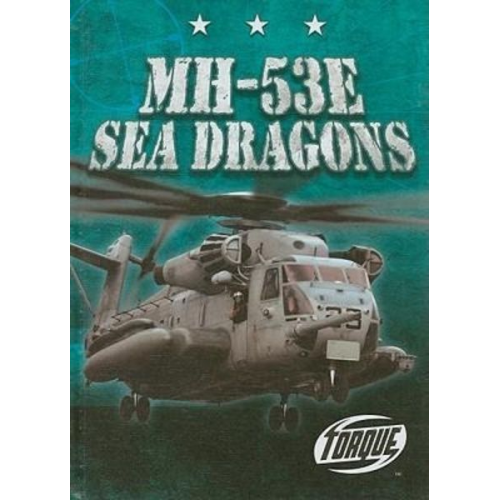 Carlos Alvarez - MH-53E Sea Dragons