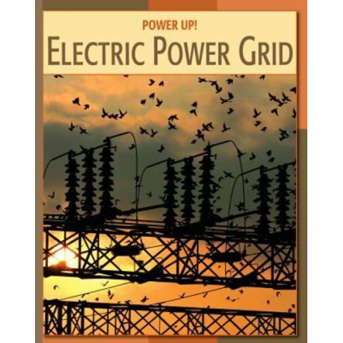 Patricia Hynes - Electric Power Grid