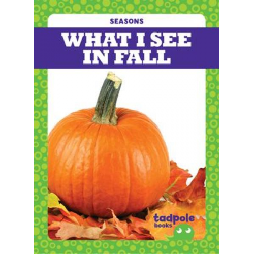 Danielle J. Jacks - What I See in Fall