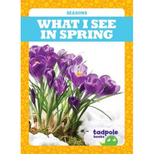 Danielle J. Jacks - What I See in Spring