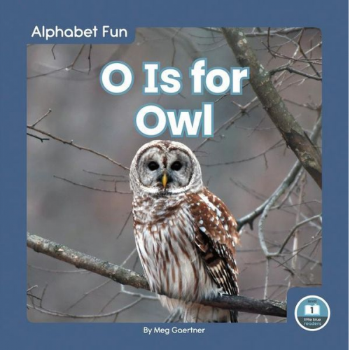 Meg Gaertner - O Is for Owl