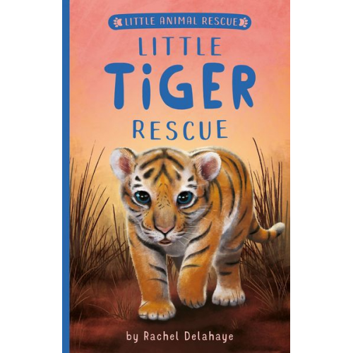 Rachel Delahaye - Little Tiger Rescue