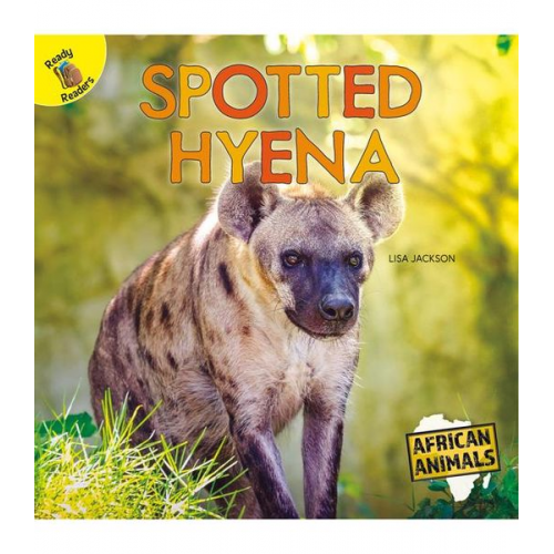 Jackson - Spotted Hyena