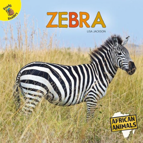 Jackson - Zebra