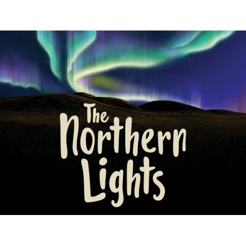 Diane Ellis - The Northern Lights