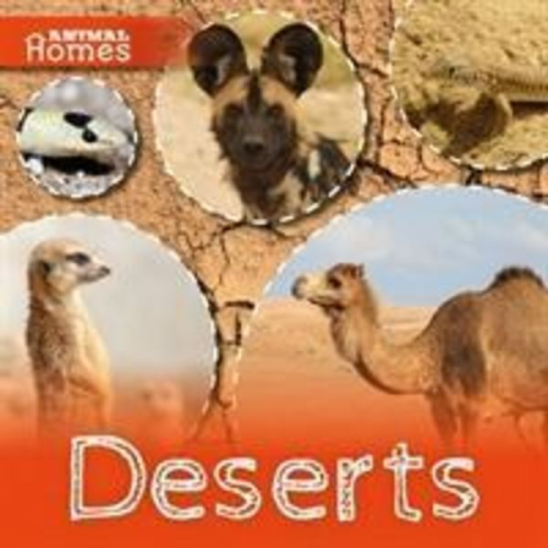 John Wood - Deserts