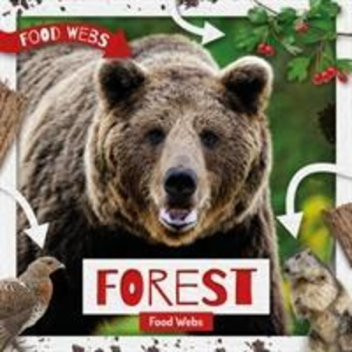 Harriet Brundle - Forest Food Webs