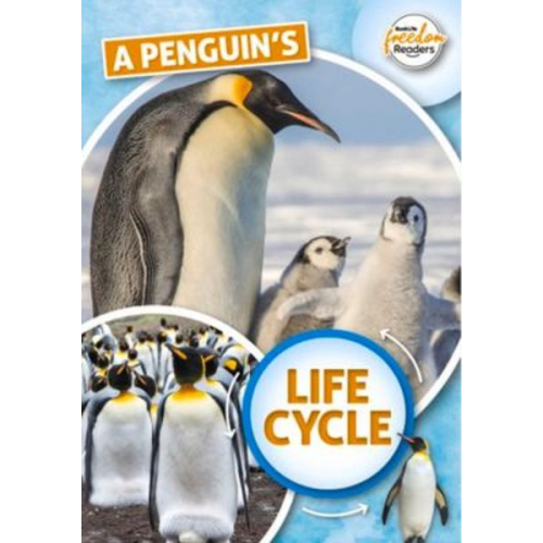 Madeline Tyler - A Penguin's Life Cycle