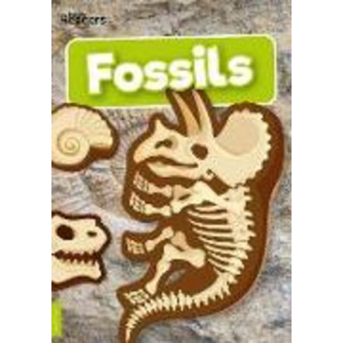 Kirsty Holmes - Fossils