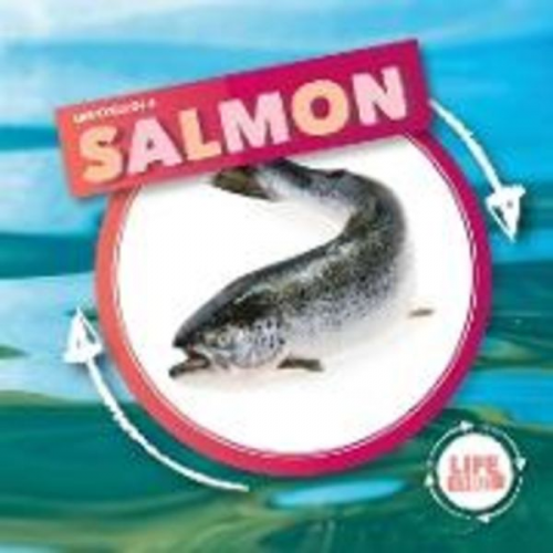 Kirsty Holmes - Life Cycle Of A Salmon