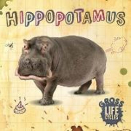 William Anthony - Hippopotamus