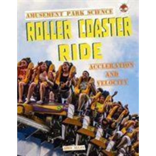 John Allan - Roller Coaster Ride