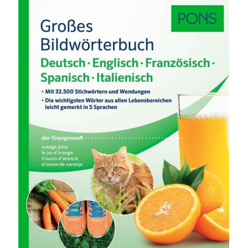 PONS Großes Bildwörterbuch Deutsch, Englisch, Französisch, Spanisch, Italienisch
