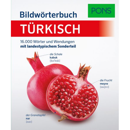 PONS Bildwörterbuch Türkisch