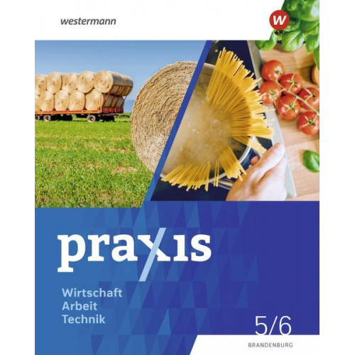 Axel Stefan Jutta Barfuss Helmut Nicklas - Praxis - WAT 5. / 6. Schuljahr. Schulbuch. Brandenburg