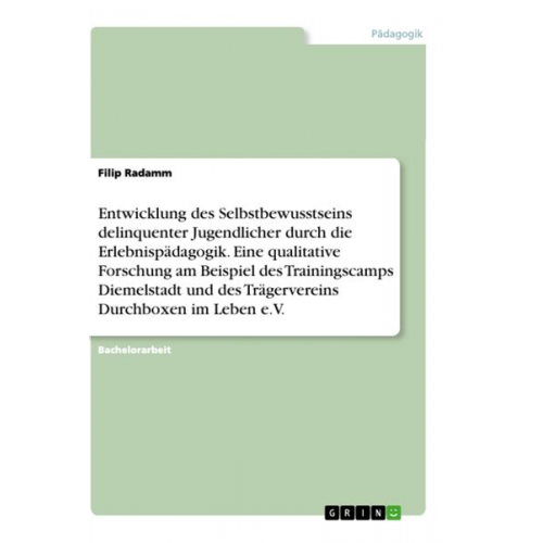 Filip Radamm - Entwicklung des Selbstbewusstseins delinquenter Jugendlicher durch die Erlebnispädagogik. Eine qualitative Forschung am Beispiel des Trainingscamps Di