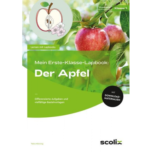 Petra Mönning - Mein Erste-Klasse-Lapbook: Der Apfel