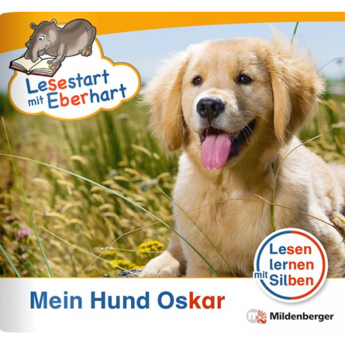 Stefanie Drecktrah - Drecktrah, S: Lesestart mit Eberhart/ Hund Oskar