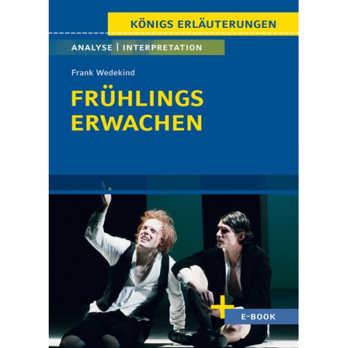 Frank Wedekind - Frühlings Erwachen - Textanalyse und Interpretation