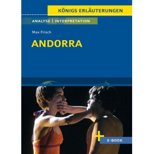 Max Frisch - Andorra von Max Frisch - Textanalyse und Interpretation