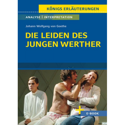 Johann Wolfgang von Goethe - Die Leiden des jungen Werther von Johann Wolfgang von Goethe - Textanalyse und Interpretation